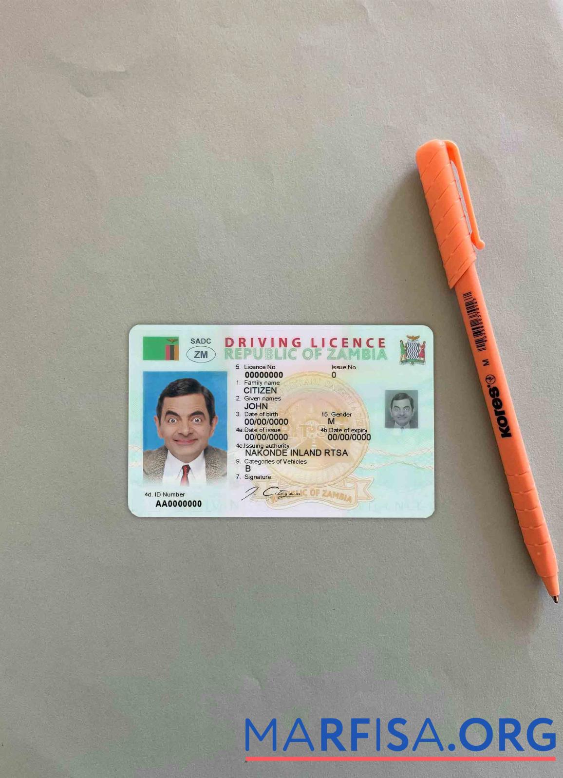 Downloadable Zambia DL photolook sample